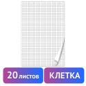 Блокнот для флипчарта ПЛОТНЫЙ 80 г/м2, 67,5 х 98 см, 20 листов, белый (КЛЕТКА), BRAUBERG (128645)